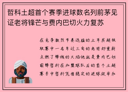 哲科土超首个赛季进球数名列前茅见证老将锋芒与费内巴切火力复苏 哲科土超首个赛季进球数名列前茅见证老将锋芒与费内巴切火力复苏